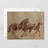 Shires Freedom Postcard Postkarte (Vorne/Hinten)