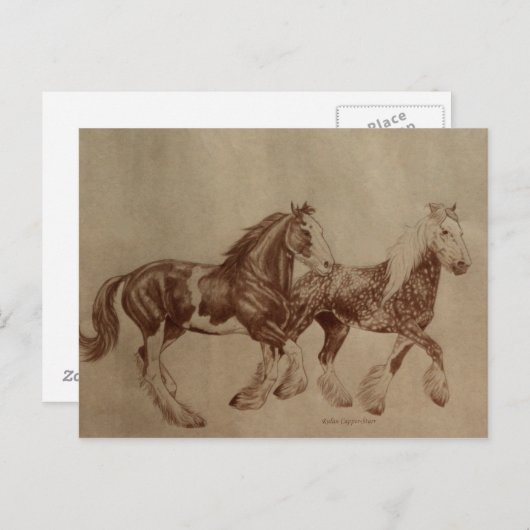 Shires Freedom Postcard Postkarte (Vorne/Hinten)