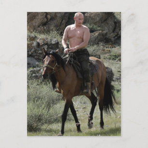 Shirless Putin reitet ein Pferd Postkarte