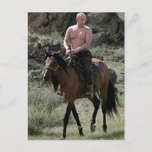 Shirless Putin reitet ein Pferd Postkarte (Vorderseite)
