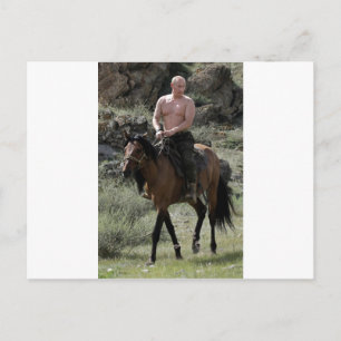 Shirless Putin reitet ein Pferd Postkarte