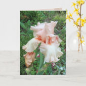 Shirleys Iris Karte (Gelbe Blume)