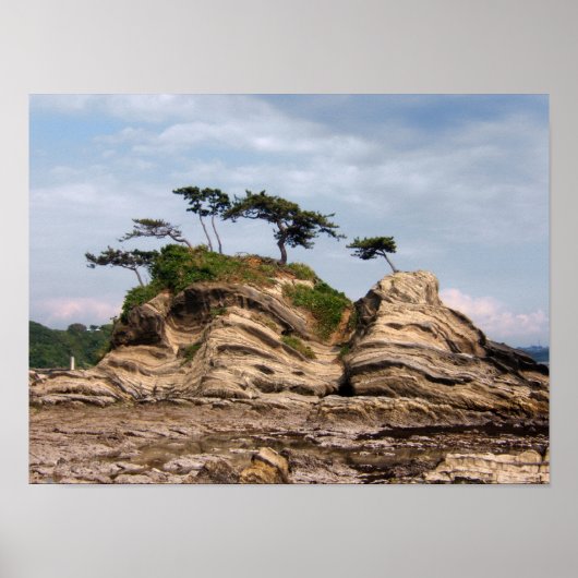 Shiroyama Poster (Vorne)