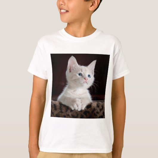 Shirt (Vorderseite)