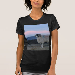 Shirt der Angepassten Damen Schafe