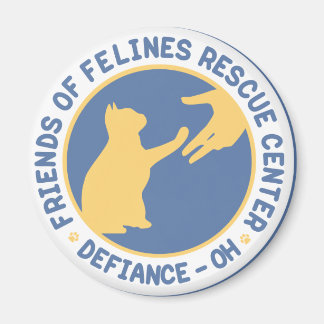 Shirt_horizontal_blueyellow.png Magnet