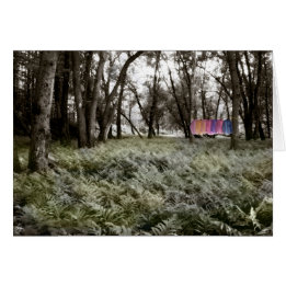 Shirts in einer Floodplain-Waldkarte