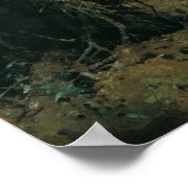 Shiskins Forest Art Poster (Ecke)