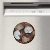 Shitake Mushrooms Magnet (In Situ (Geschirrspüler))