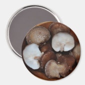 Shitake Mushrooms Magnet (Vorderseite/Rückseite)