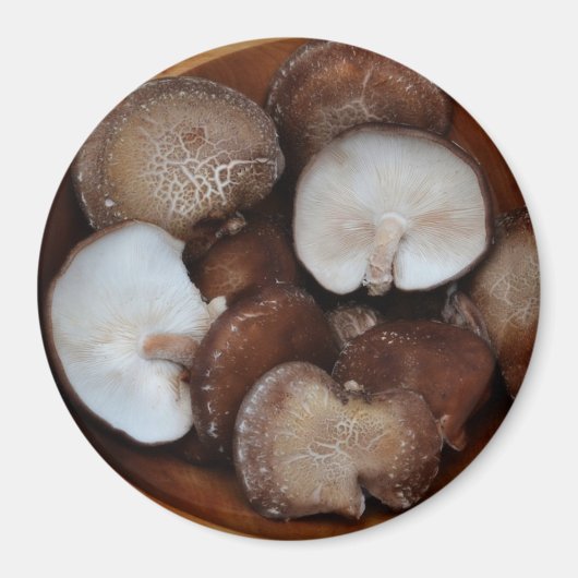Shitake Mushrooms Magnet (Vorne)