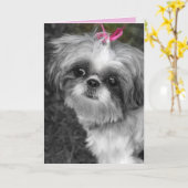Shitzu Girl Grußkarte Karte (Gelbe Blume)