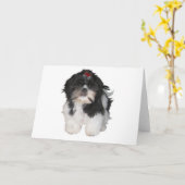 Shitzu Shih Tzu Hündchen Karte (Gelbe Blume)