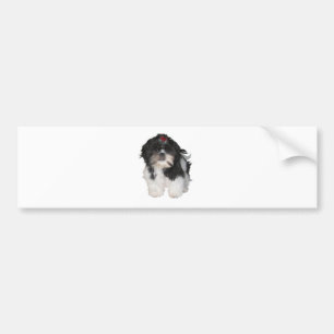 Shitzu Shih Tzu Welpen Hunde Autoaufkleber