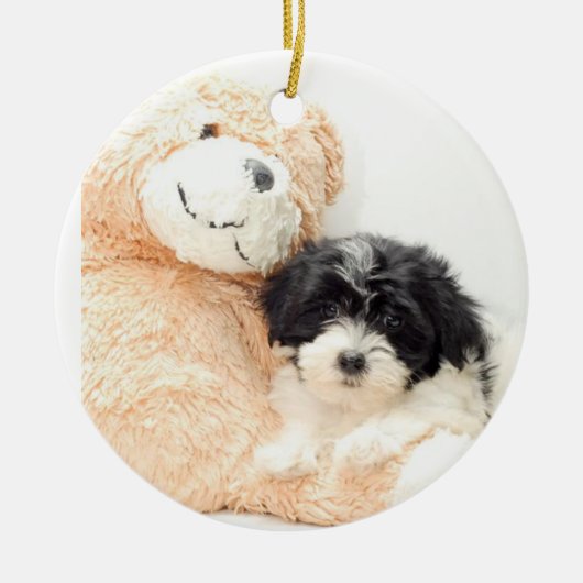 SHITZU UND TEDDY-BEAR-ORNATION KERAMIKORNAMENT (Vorne)