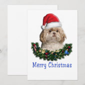 Shitzu Weihnachten (Vorne/Hinten)
