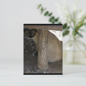 Shiva der Schneeschuh Postkarte (Stehend Vorderseite)