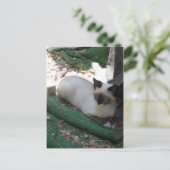 Shiva der Schneeschuh Postkarte (Stehend Vorderseite)