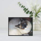 Shiva der Schneeschuh Postkarte (Stehend Vorderseite)