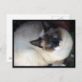 Shiva der Schneeschuh Postkarte (Vorne/Hinten)