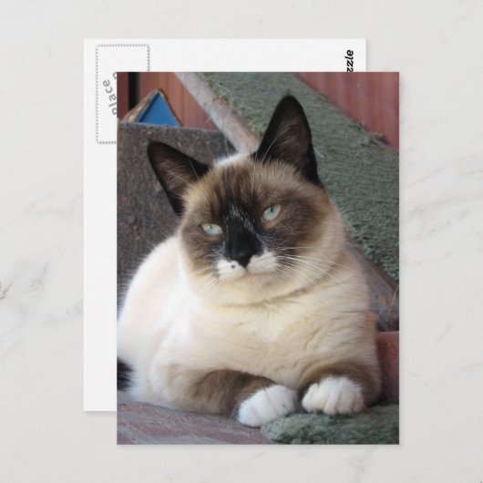 Shiva der Schneeschuh Postkarte (Vorne/Hinten)