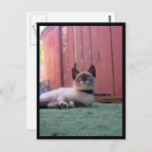 Shiva der Schneeschuh Postkarte (Vorne/Hinten)