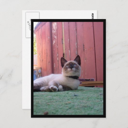 Shiva der Schneeschuh Postkarte (Vorne/Hinten)