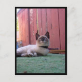 Shiva der Schneeschuh Postkarte (Vorderseite)