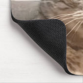 Shock Cat Meme Mouse Pad Mousepad (Ecke)