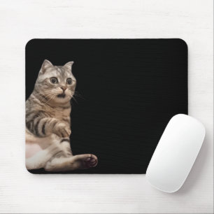 Shock Cat Meme Mouse Pad Mousepad