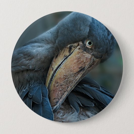 Shoebill Button (Vorderseite)