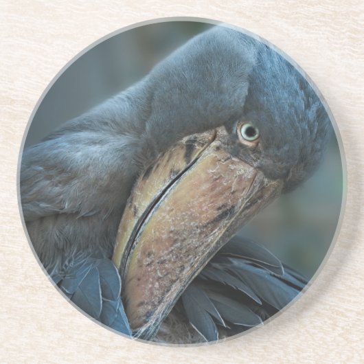 Shoebill Getränkeuntersetzer (Vorne)