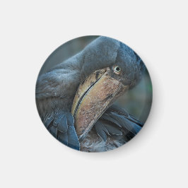 Shoebill Magnet