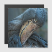 Shoebill Magnetkarte (Vorne/Hinten)