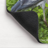 Shoebill Mousepad (Ecke)