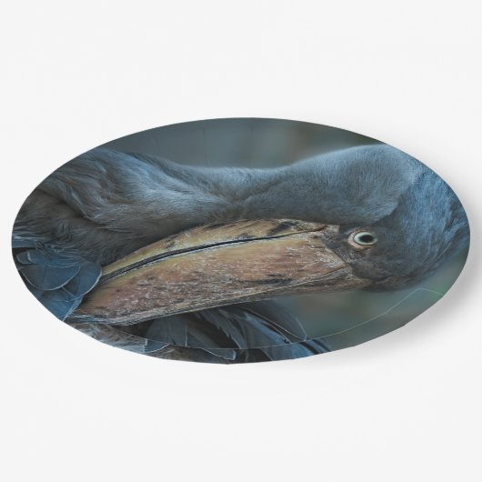 Shoebill Pappteller (Schrägansicht)