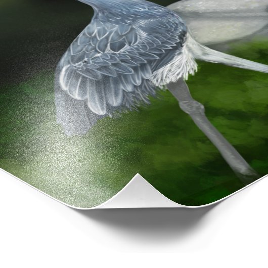 Shoebill Storch Bird Foto Print (Ecke)