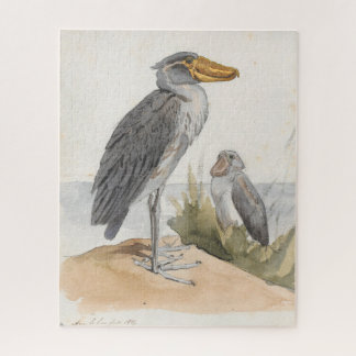 Shoebill Stork 1887 Print Zoological African Puzzle