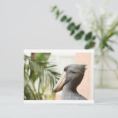 Shoebill Stork Postkarte (Stehend Vorderseite)