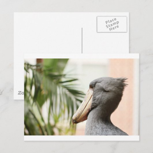 Shoebill Stork Postkarte (Vorne/Hinten)
