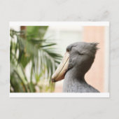Shoebill Stork Postkarte (Vorderseite)