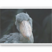 Shoebill's Charm Aufkleber (Vorderseite)