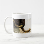 Shofar Kaffeetasse (Links)