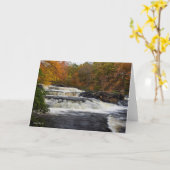 Shohola Falls im Herbst (2) Karte (Gelbe Blume)