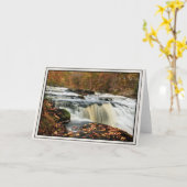 Shohola Falls im Herbst Karte (Gelbe Blume)
