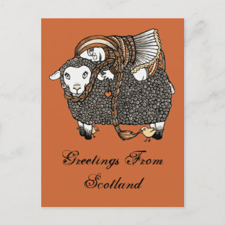 Shonaghs Sheep Postcard Postkarte