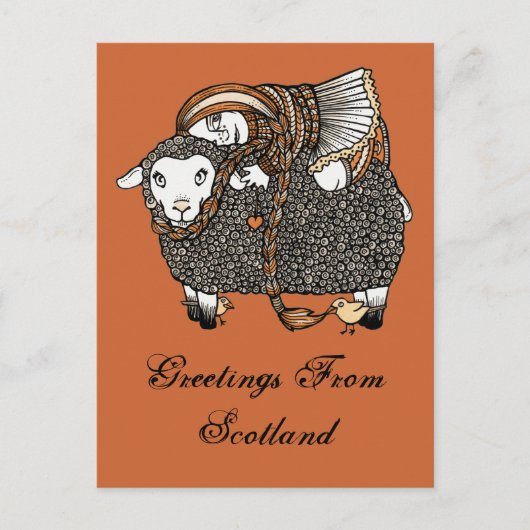 Shonaghs Sheep Postcard Postkarte (Vorderseite)