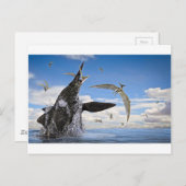 Shonisaurus Dinosaur Überraschungsangriff Postkarte (Vorne/Hinten)