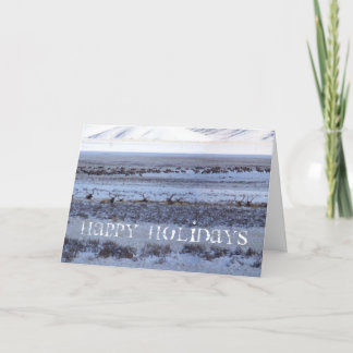 Shootin Feiertagskarte