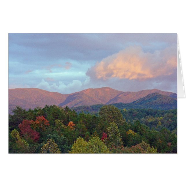 Shooting Creek (Vorderseite (Horizontal))